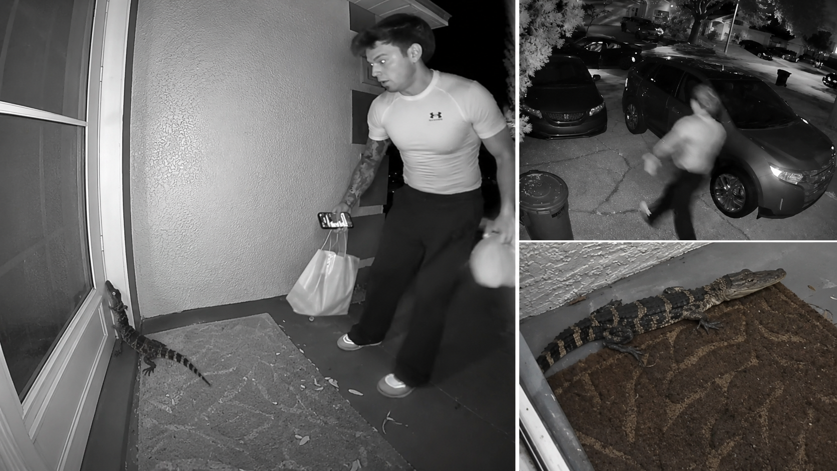 Doorbell camera footage showing a DoorDash driver reacting to a baby alligator near a Florida front door at night.