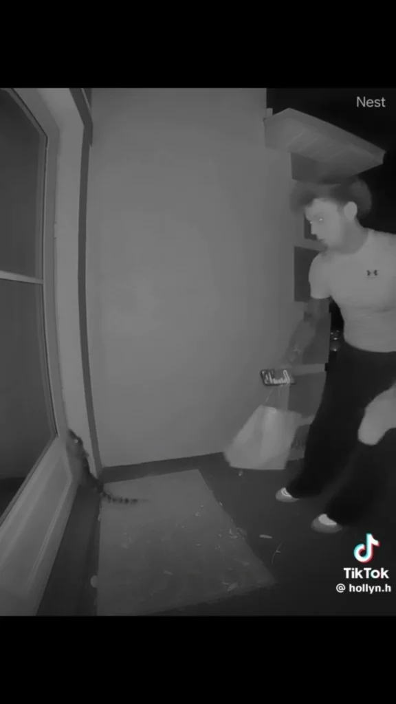 DoorDash driver reacting near a Florida front door after noticing a baby alligator