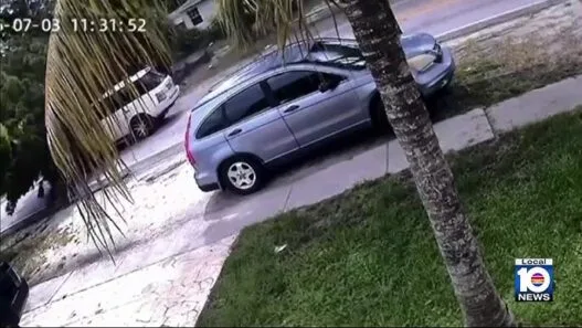 A tree crashes onto a moving Range Rover in North Miami after being struck by lightning during severe weather.