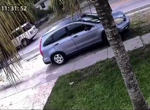 A tree crashes onto a moving Range Rover in North Miami after being struck by lightning during severe weather.