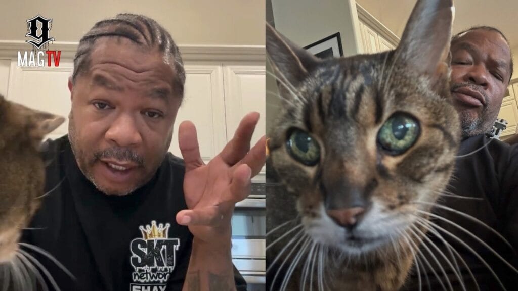 Xzibit reacts to the viral attention surrounding his longtime cat Thundercat