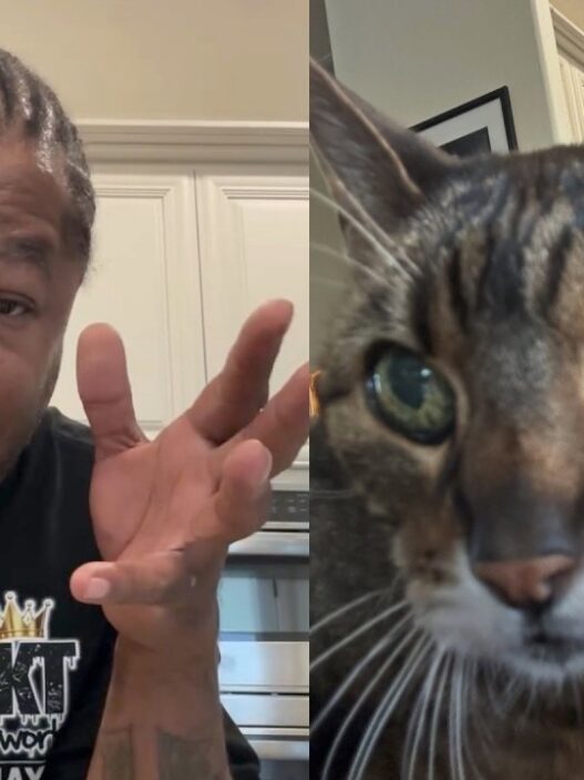 Xzibit reacts to the viral attention surrounding his 20-year-old cat Thundercat