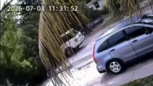 A North Miami lightning strike sends a tree crashing onto a moving Range Rover during severe weather.
