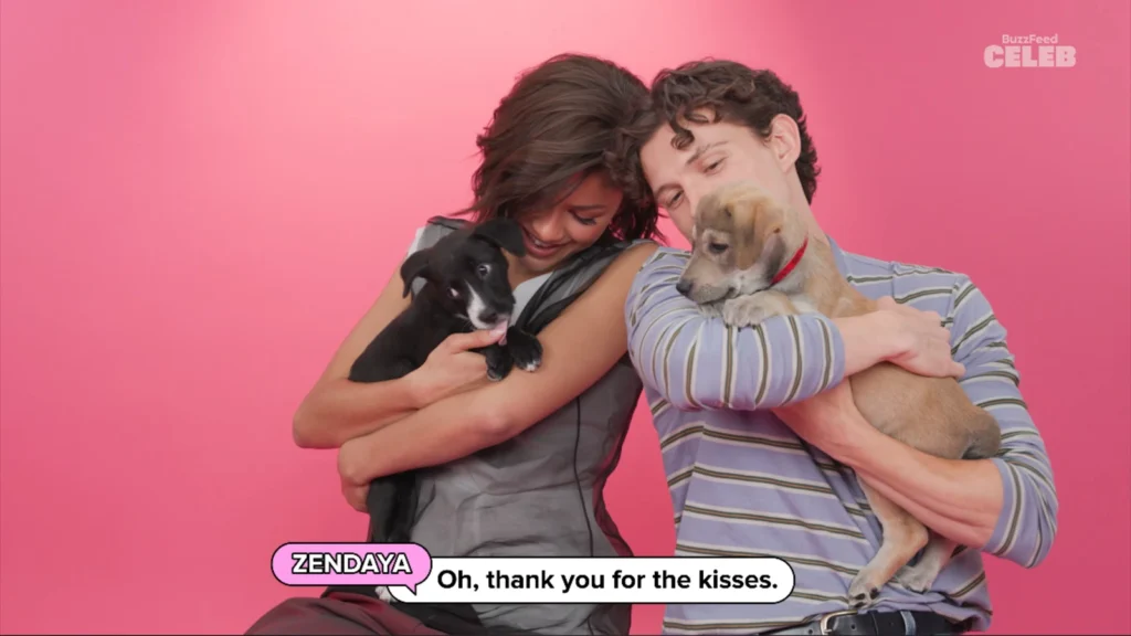 Zendaya and Tom Holland laugh as puppies climb over them during the interview