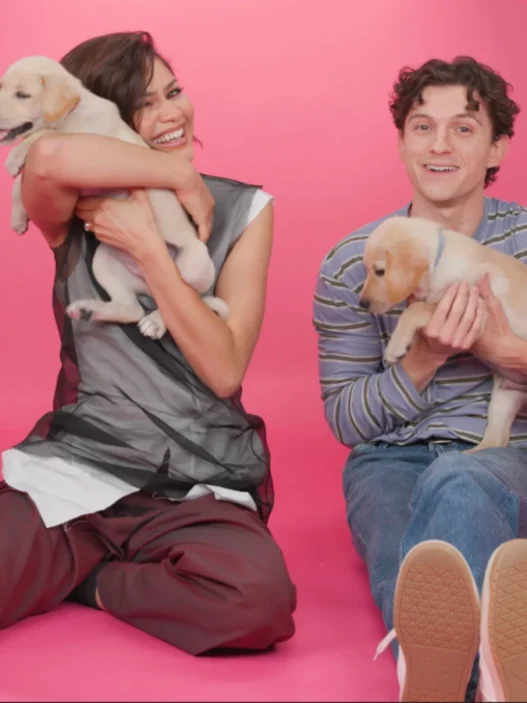 Zendaya and Tom Holland surrounded by rescue puppies during BuzzFeed Celeb’s Puppy Interview