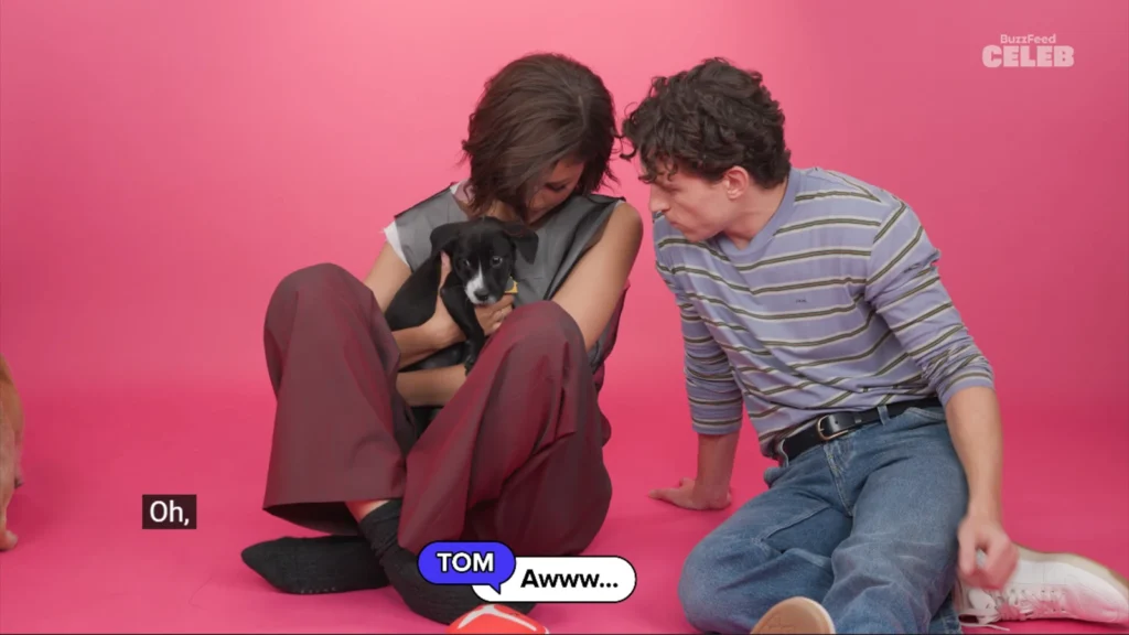 Zendaya and Tom Holland sit among adoptable puppies in BuzzFeed Celeb’s Puppy Interview