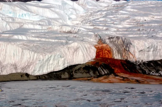 Blood Falls flowing from Taylor Glacier toward West Lake Bonney
