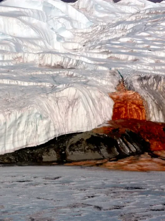 Antarctica’s Blood Falls flowing from Taylor Glacier