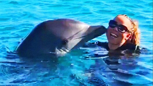 Mariah Carey beside a dolphin during their viral whistle-note exchange