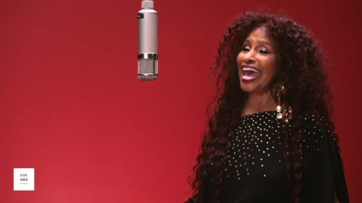 Chaka Khan in imagery for “Curious Subject” on A COLORS SHOW