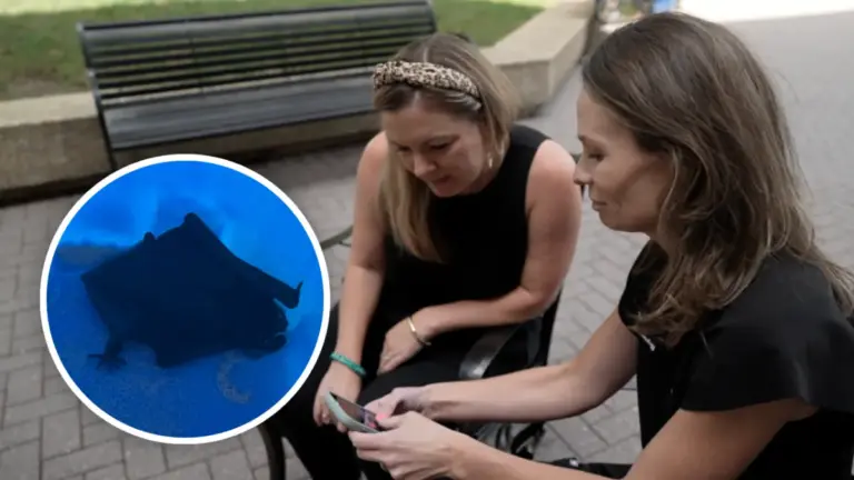 What In The Batman?! Doctor Wakes Up To Discover Bat In Her Mouth
