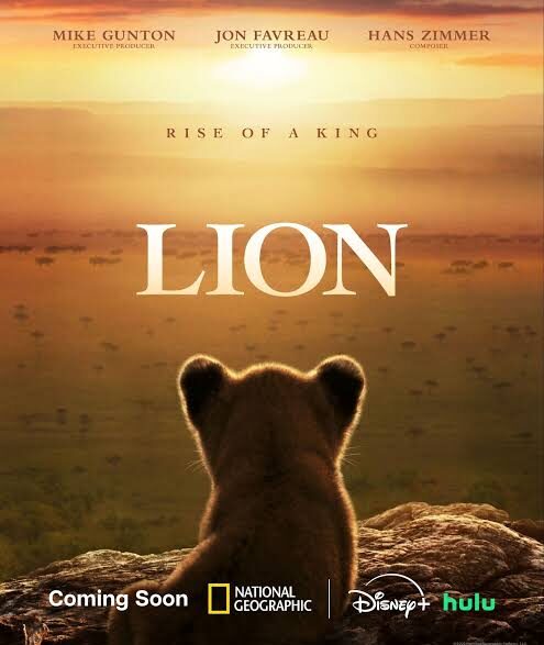 Lion cub Kio resting in greenery on the official trailer artwork for National Geographic’s LION