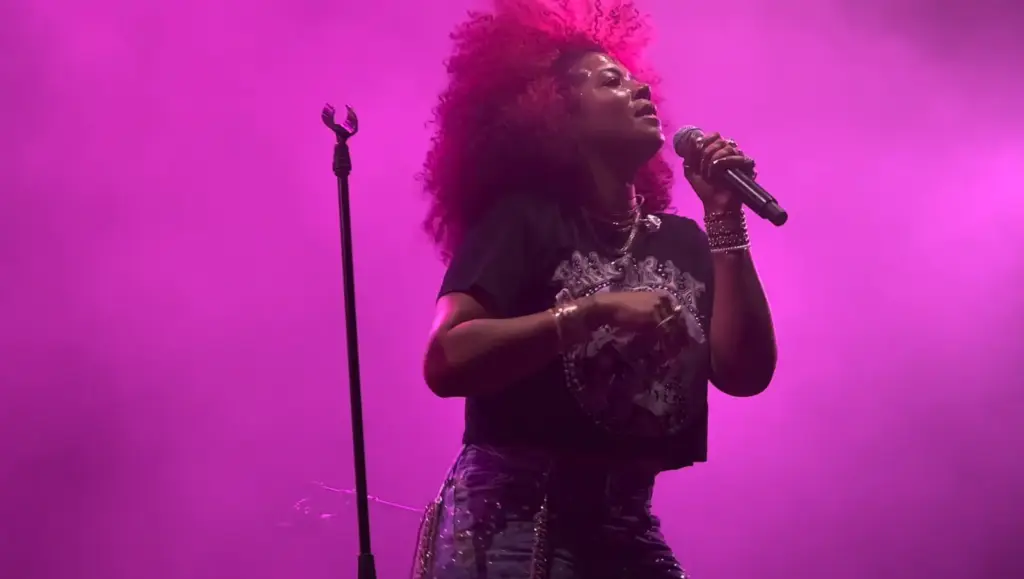 Kelis onstage during her Pukkelpop 2026 set
