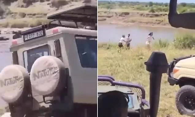 Woopsies! Safari Car Carrying Tourists Crashes Into Crocodile Infested River in Tanzania As Other Astounded Tourists Watch