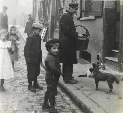 Historical image connected with Britain's cat's meat trade