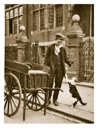 Historical image connected with Britain's cat's meat vendors
