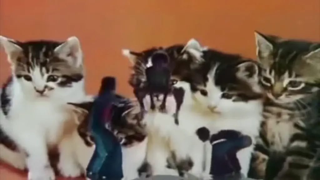 Ballet Zoom dancers in vintage cat-themed television footage