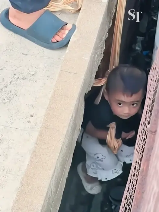 Three-year-old girl helping during a puppy rescue in Yantai, Shandong