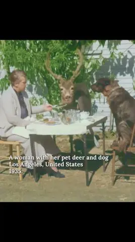 Tuesday Textures: A Whimsical Lady, Her Dog & Pet Deer in 1935 Los Angeles