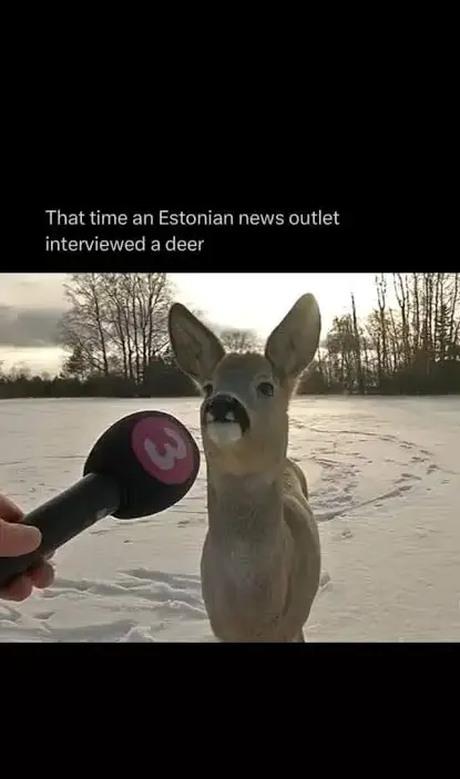 Roe deer during a 2017 Estonian television report in Valaste village