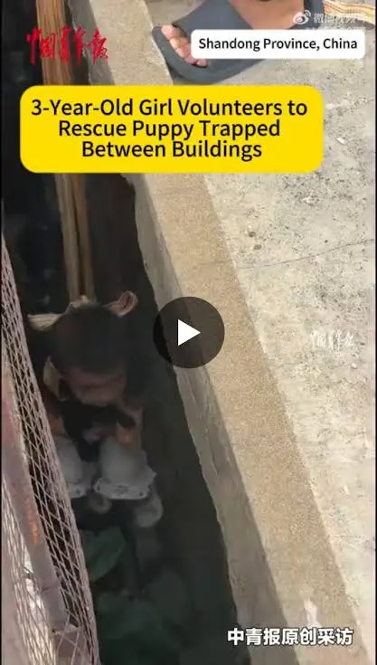 A Spoonful of Lovin’: A 3-year-Old Girl In Yantai, Shandong, Becomes Tiniest Member Of An Unofficial