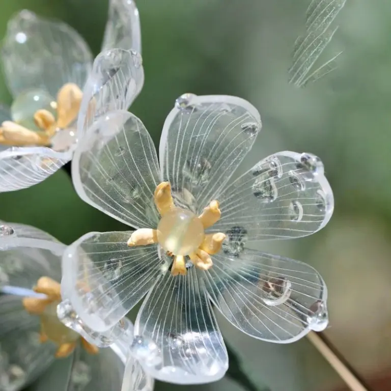 Flower Power! Meet ‘The Skeleton Flower’ One Of Nature’s Unique Transformations
