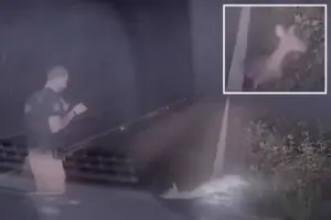 Woopsies! A Texas Officer Comes Upon A Deceased Deer, Only To Surprise It Was Alive