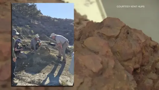 Kent Hups and researchers at the North Dakota site of the adult T. rex trackway discovery