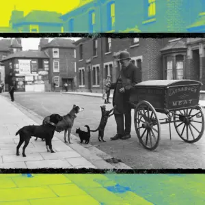 Meet the Cat’s Meat Man: The Victorian Street Vendor Who Fed London’s Cats