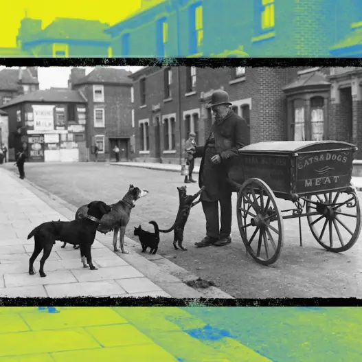 Victorian cat's meat man selling food for household pets in London