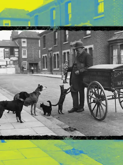 Victorian cat's meat man selling food for household pets in London