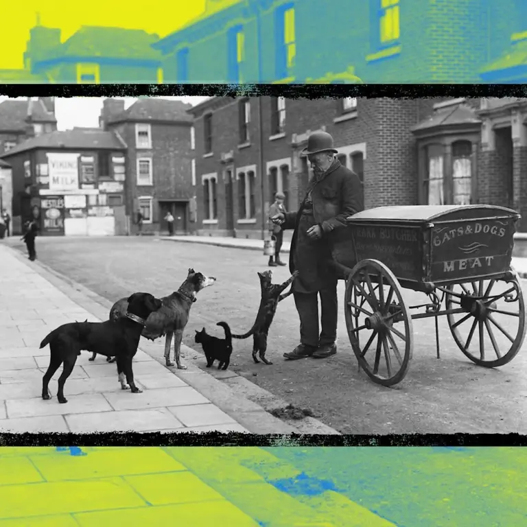 Victorian cat's meat man selling food for household pets in London