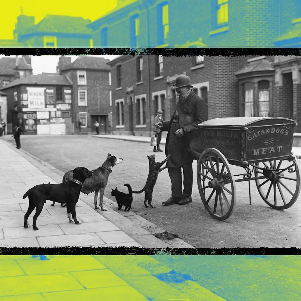 Historical depiction of a Victorian cat's meat street trader