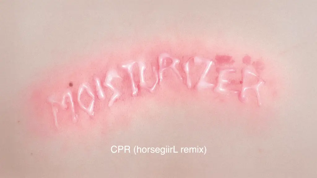 Wet Leg CPR horsegiirL remix artwork