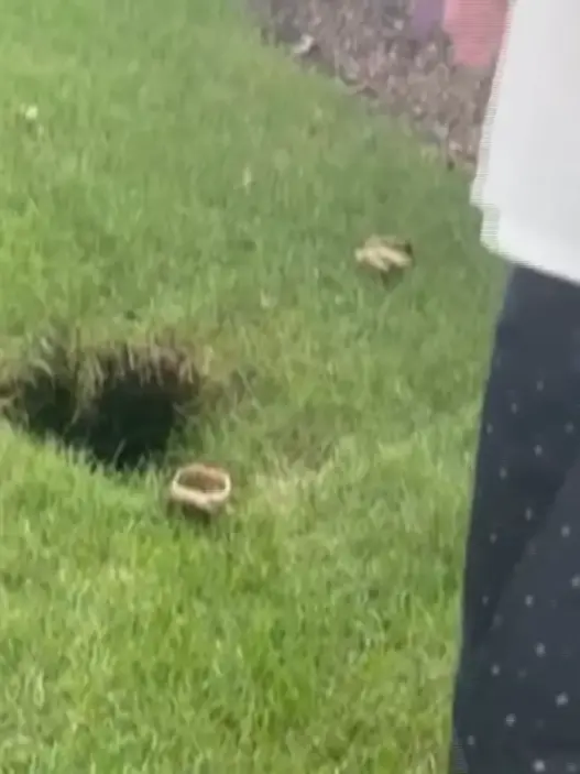 Danielle Tammone after falling eight feet into a backyard hole in Bohemia, Long Island