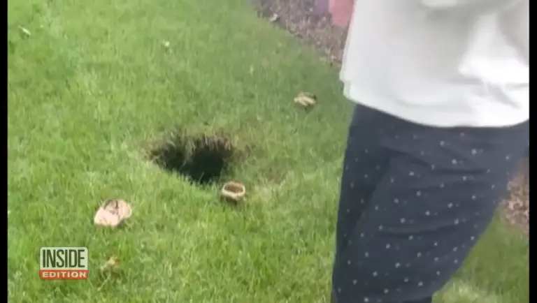 Long Island Woman Falls 8 Feet Into Backyard Hole on Her 47th Birthday