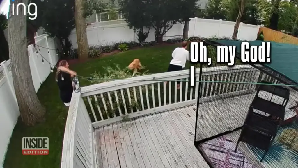 Danielle Tammone backyard collapse incident in Bohemia, Long Island