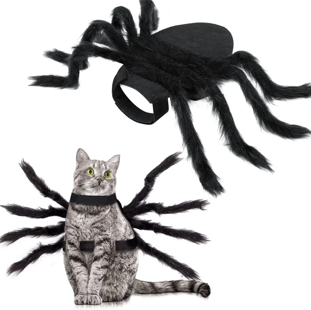 Black furry spider Halloween costume shown on a gray cat