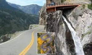Present Day-Developments: Million Dollar American Deathly Highway Trap: Why It Wont Get Fixed