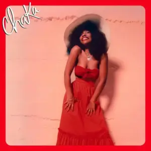Zephyring 48 Years Ago, Queen Chaka Khan Dropped Juggernaut Debut Album, ‘Chaka’