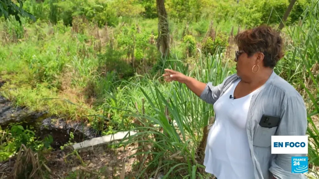 Frame from the AFP report on community water protection in Veracruz