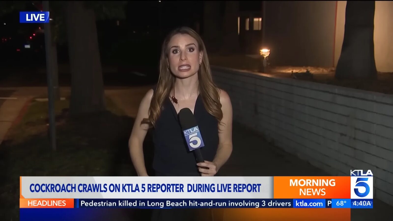 KTLA 5 reporter Rachel Menitoff holds a microphone during a live broadcast with a cockroach visible on her upper chest.