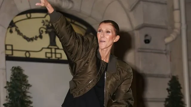 Céline Dion’s Excitement Greeting Fans Finds Her Hopped On Top Of A Car