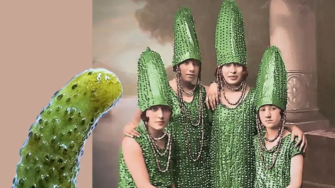A Spoonful of Style Whimsy: THE PICKLE SISTERS 1920s Vaudeville Act