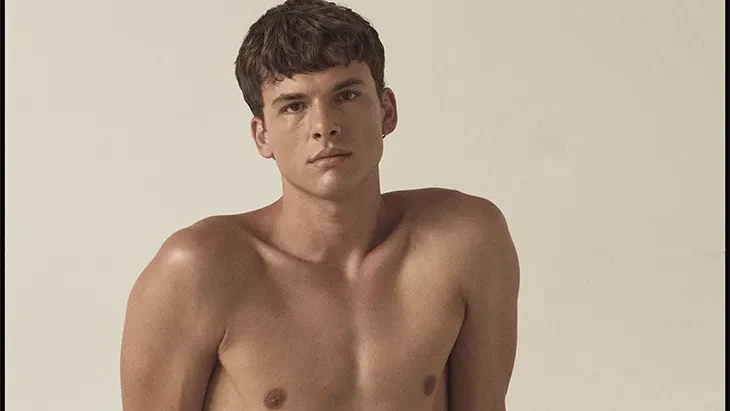 Smoldering Model Dominik Schmidt
