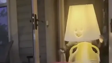Tis The Season! Little Girl Lightens Up Halloween Dressed Up As Lamp